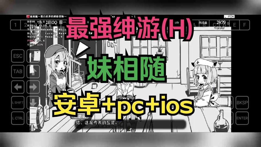 妹相随彩色版安卓汉化哪里下载靠谱？(安全平台推荐避坑)