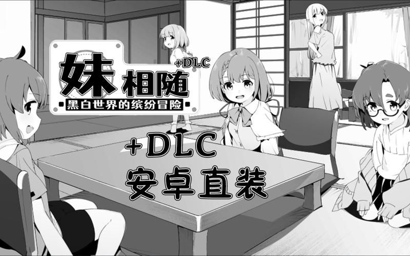 妹相随黑白版如何下载安全？这几招避免风险教程！