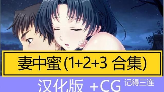 妻中密汉化版下载效果怎么样？(优势解析提升体验)