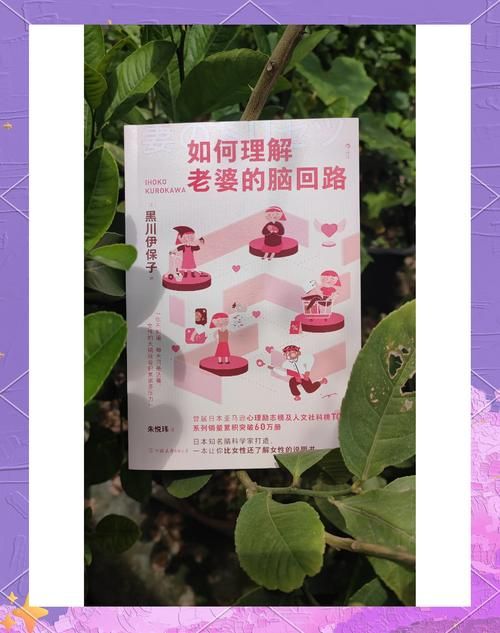 妻子的困境版本大全如何选择？关键标准帮你做决定！