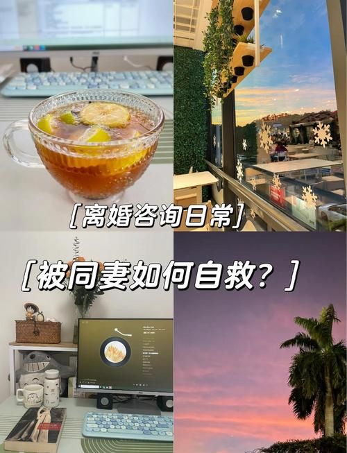 妻子的困境重温怎么下载？老用户分享简单教程！