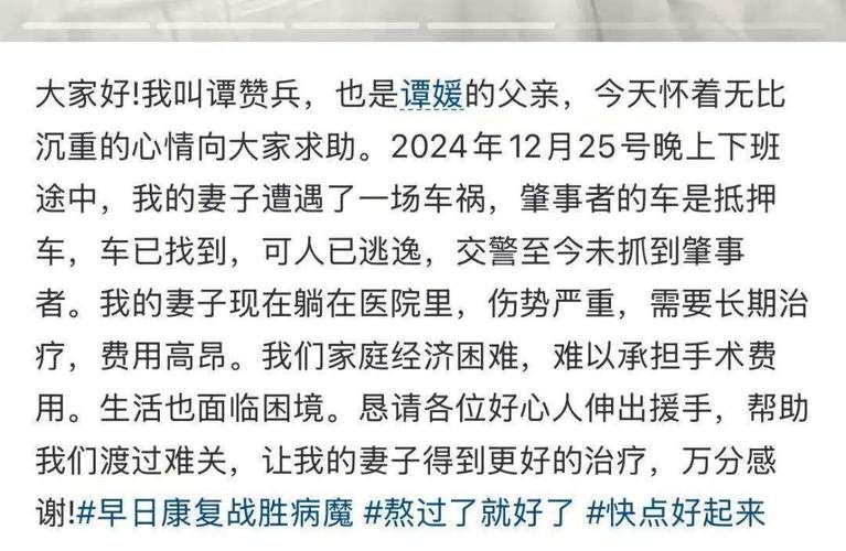 妻子的困境重温汉化版最新更新内容变化大不大 对比评测解析