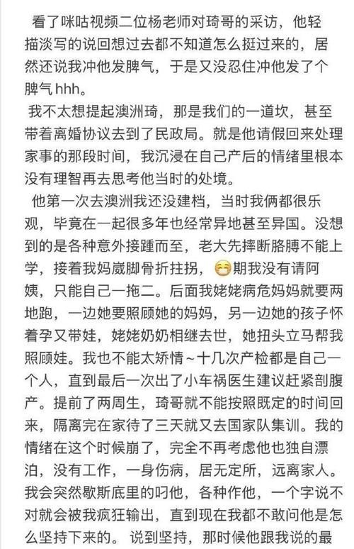 妻子的困境重温版本号怎么看？最新版安装步骤超详细说明！