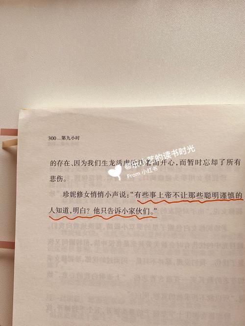 妻子的困境重温版本号怎么看？最新版安装步骤超详细说明！