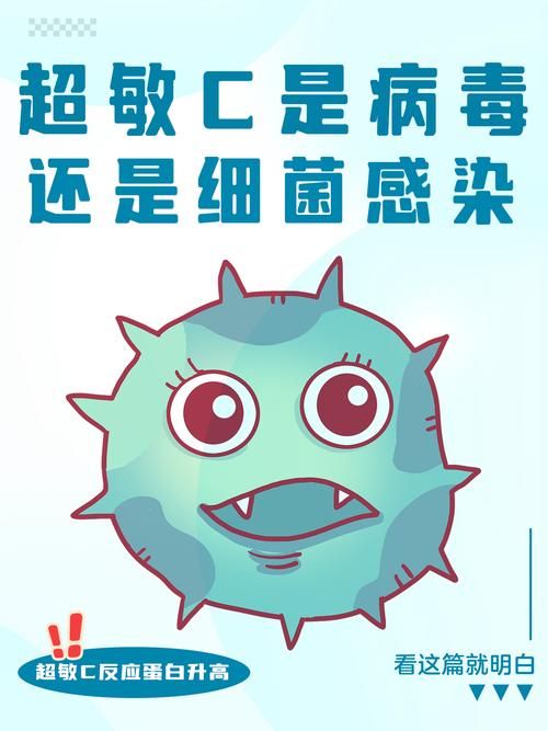 婚闹汉化版下载安全提示？避免病毒陷阱关键方法