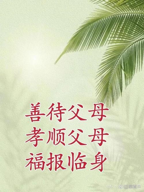 孝顺的妻子安卓是什么？(安卓手机必备家庭美德应用)