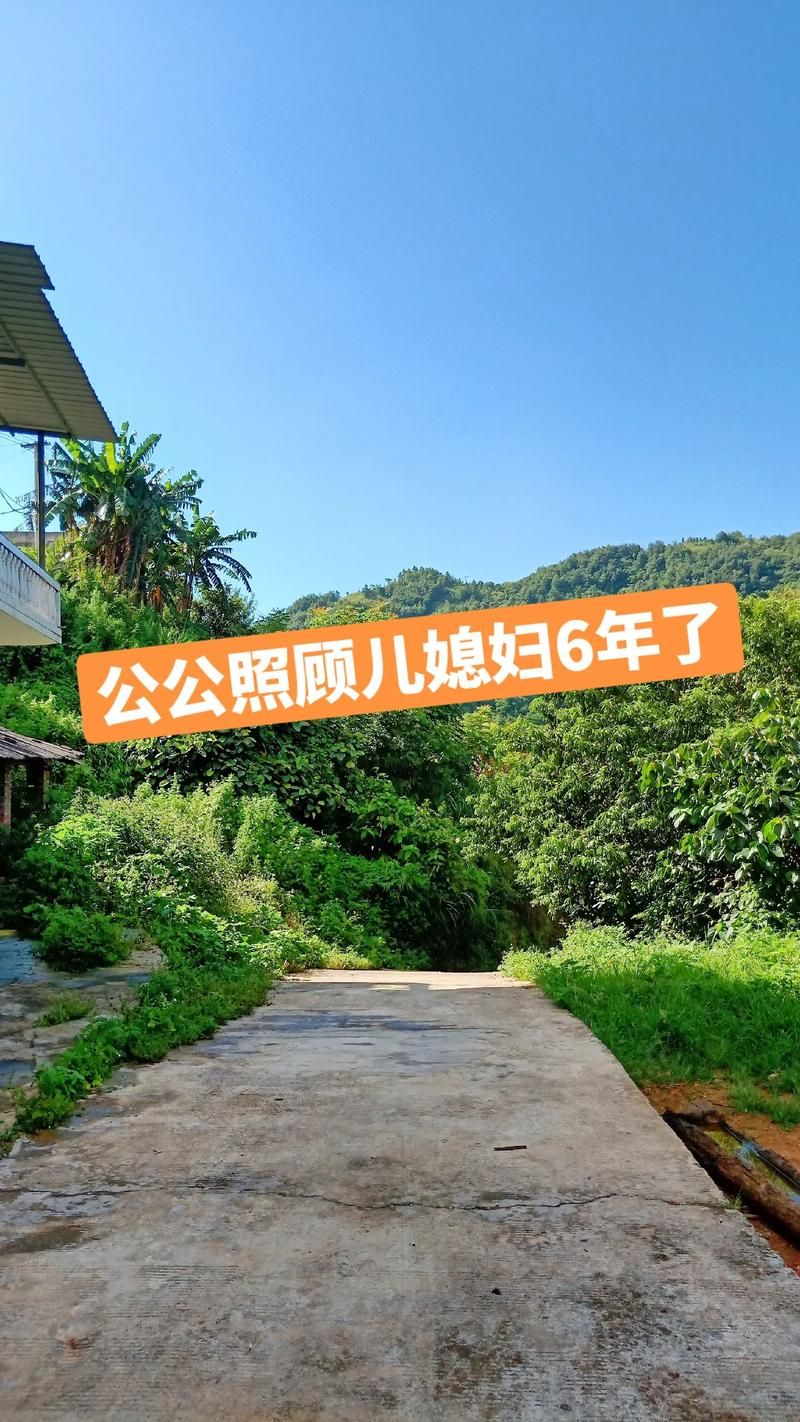 孝顺的妻子游戏怎么玩？新手上手指南来啦