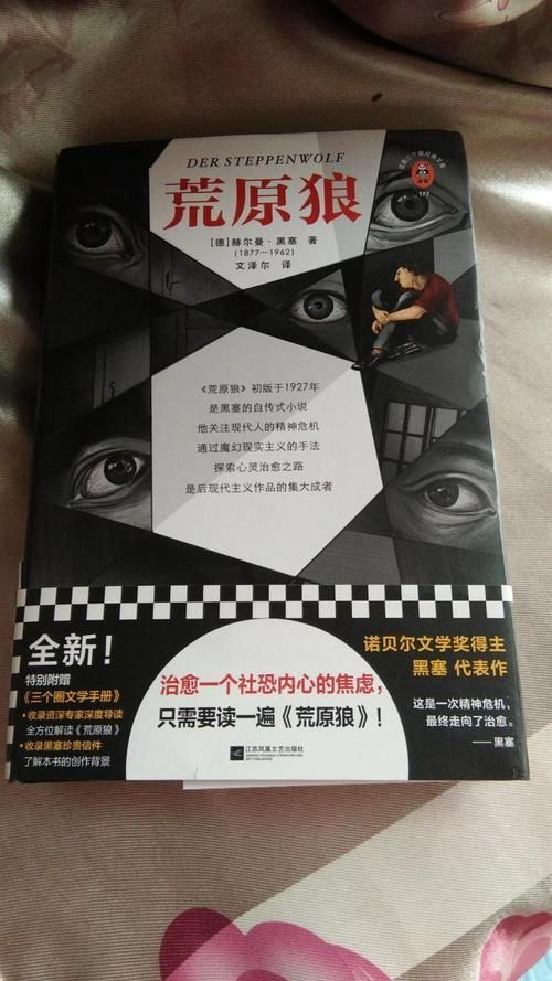 孤独的陌生人官方正式版下载最新版怎么获取？新手快速安装步骤。