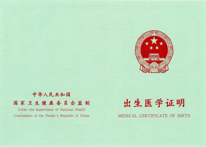 安全下载出生证明官方正式版最新版？这三大秘诀避免风险！