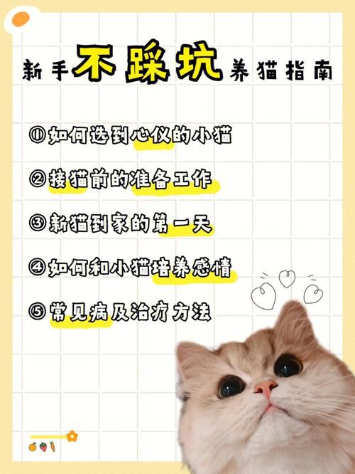安全下载捡到千年猫怎么操作？(防风险指南手把手教！)