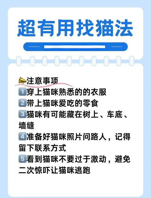 安全下载捡到千年猫怎么操作？(防风险指南手把手教！)