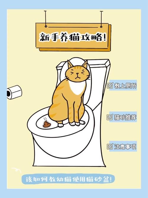 安全下载捡到千年猫怎么操作？(防风险指南手把手教！)