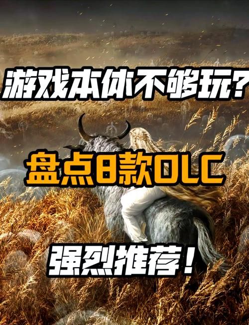 安卓手机能玩SOB军旅DLC汉化版吗？兼容性问题和解决方法！