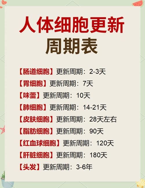 完美细胞计划最新版本更新了什么？这些新功能太强了！