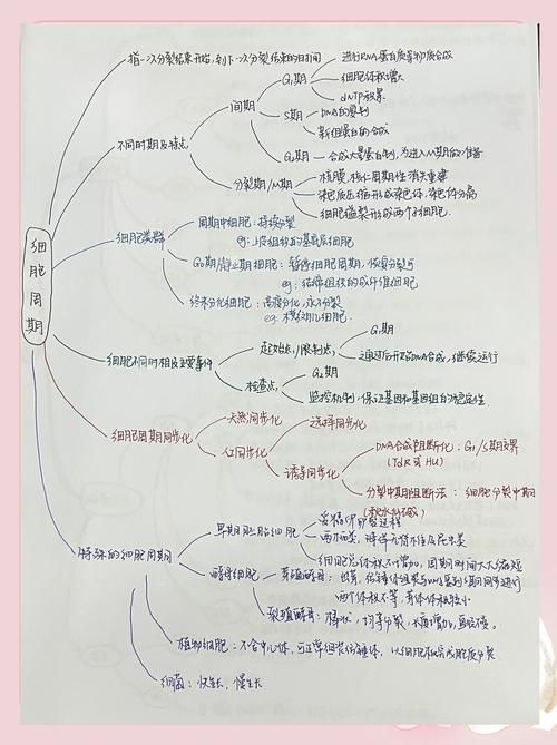 完美细胞计划版本大全使用技巧？提升效果实用秘诀必学！