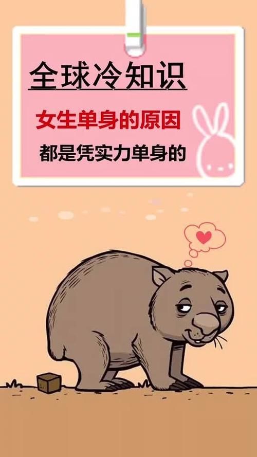 实力单身下载安卓最新版本？(新功能亮点立即查看详解！)