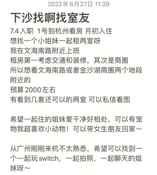 室友1.3下载地址哪里下载？实用方法快速获取！