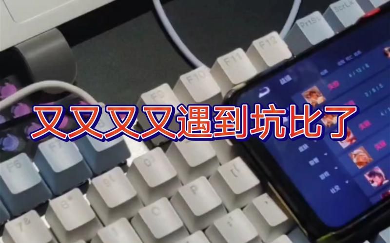 室友1.3安卓汉化常见问题？快速解答避坑攻略！