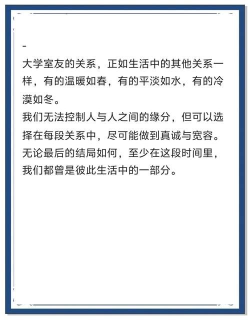 室友1.3官方网站好用吗？真实用户评价大揭秘！