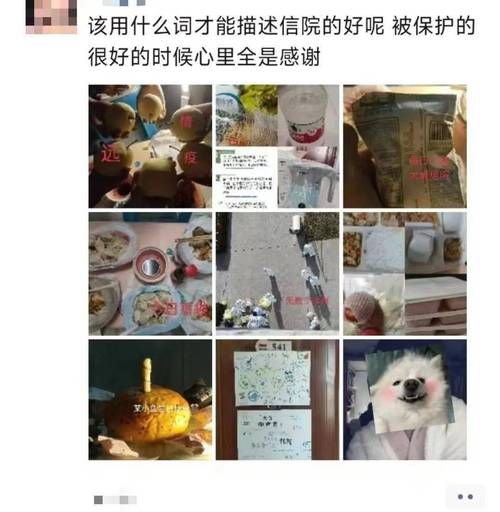 室友1.3官方网站好用吗？真实用户评价大揭秘！