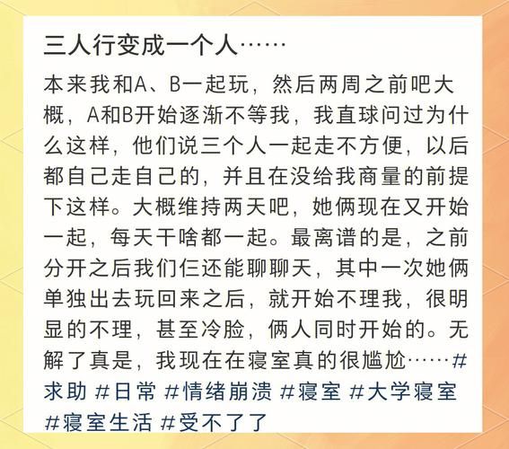 室友1.3官方网站好用吗？真实用户评价大揭秘！