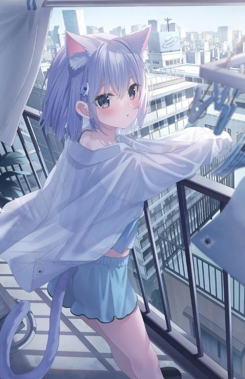 害羞女孩改造版本大全哪个版本好？对比推荐热门方案！
