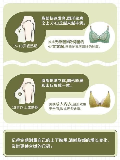 害羞女孩的改造游戏攻略需要啥？必备工具清单全指南