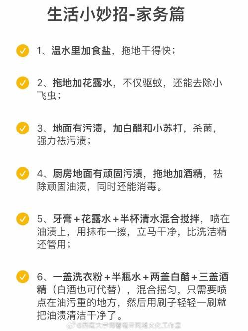 家务游戏攻略怎么玩？（新手必看的轻松入门方法）