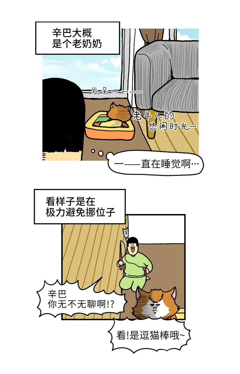 家里蹲女友更新地址换了吗？及时获取新网址教程！