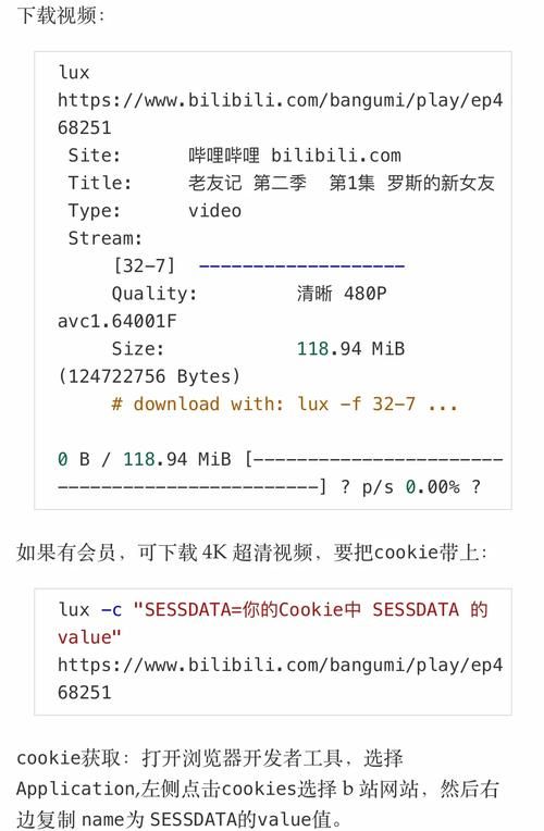 宾馆下载地址怎么下？(简单四步教你快速搞定下载)