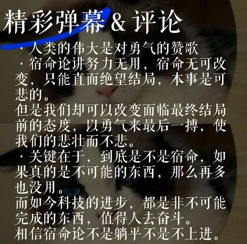 宿命论官方网站是什么？了解这个平台就够了！（核心关键词位置：开头）