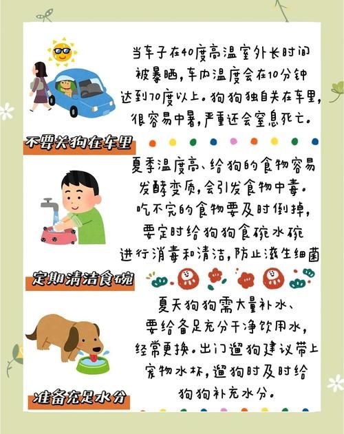 寻找夏日的宝物安全下载方法？避免病毒风险技巧分享！
