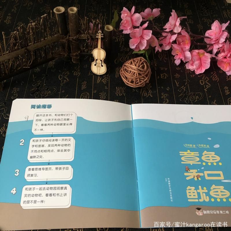 寻找夏日的宝物官方网站怎么下载？安装步骤详解不踩坑！