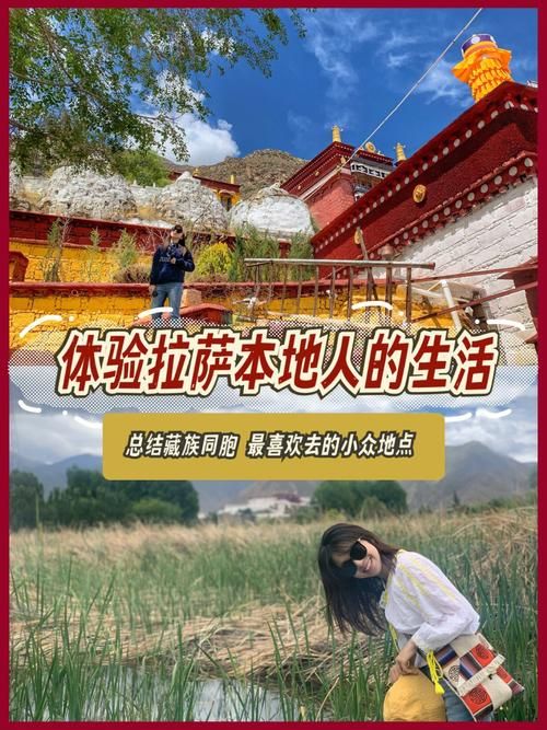 寻找夏日的宝物官方网站怎么下载？安装步骤详解不踩坑！