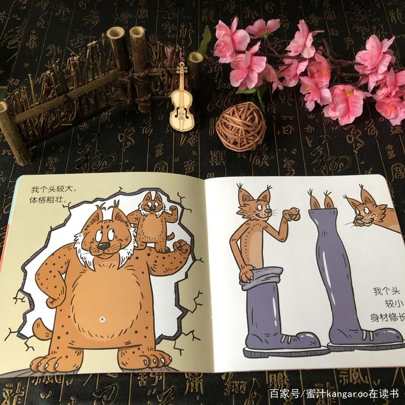 寻找夏日的宝物官方网站怎么下载？安装步骤详解不踩坑！