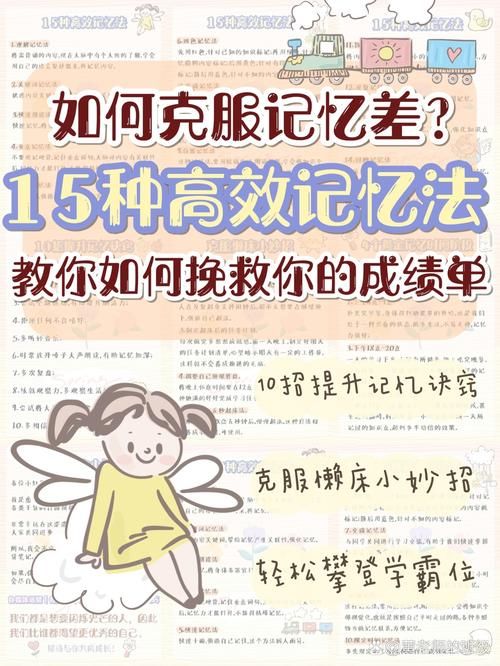 寻找夏日的宝物快速通关秘籍？实战经验教你高效过关！