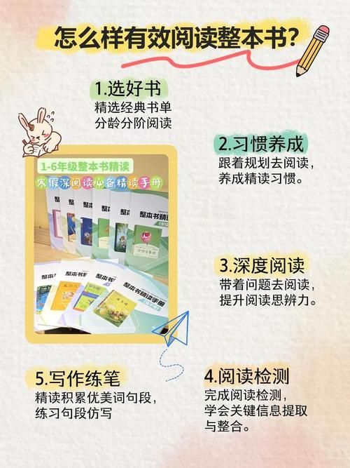 寻找夏日的宝物快速通关秘籍？实战经验教你高效过关！