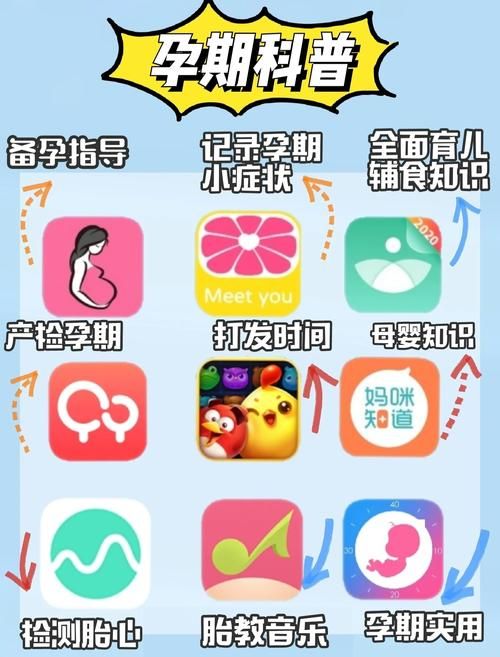 小孩子才做选择在哪下载？手把手教你免费完整安装步骤！