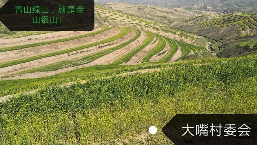 小绿山下载地址推荐平台？多个渠道轻松获取！