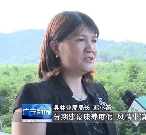 小绿山官网有什么功能？来看这三项实用服务介绍！