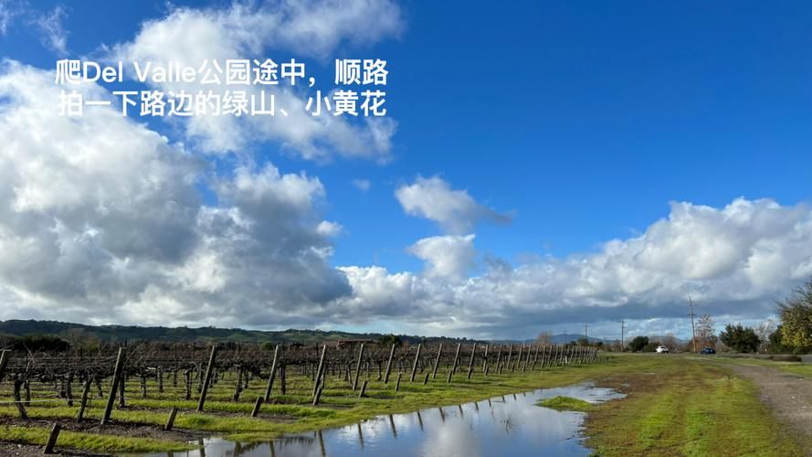 小绿山更新地址访问教程？超详细方法轻松掌握！