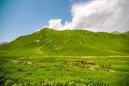 小绿山最新版本是多少？(用户实测反馈和更新攻略)