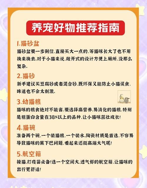 小野猫N上在哪下载问题？实用指南快速搞定步骤！