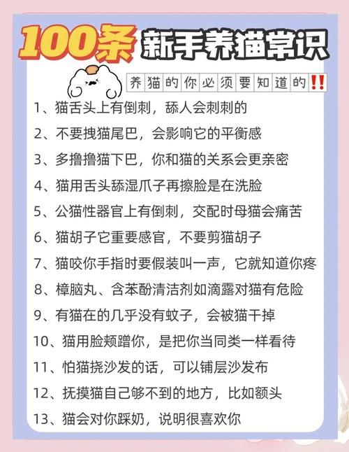 小野猫N上官网安全可靠吗？实用避坑建议请收藏！