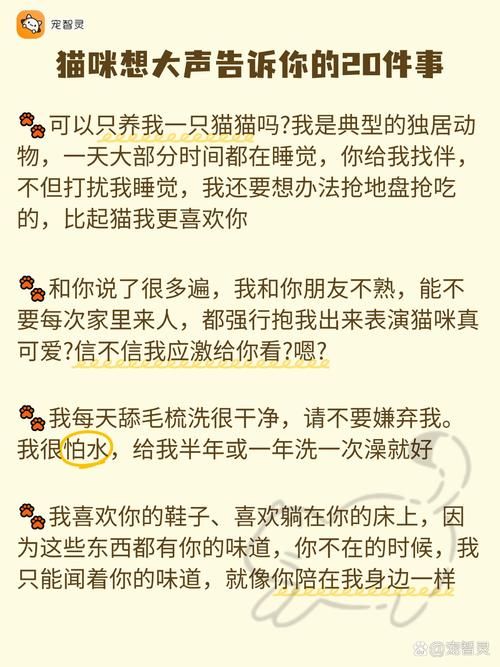 小野猫N上官网安全可靠吗？实用避坑建议请收藏！