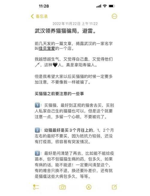 小野猫N上官网安全可靠吗？实用避坑建议请收藏！