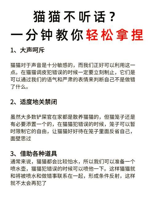 小野猫N上更新地址打不开怎么办？试试这三步轻松搞定！