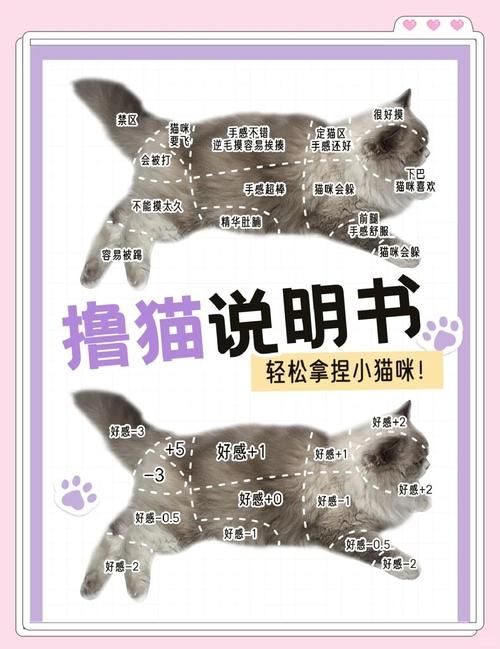 小野猫N上最新怎么玩简单？实用技巧轻松上手教程！