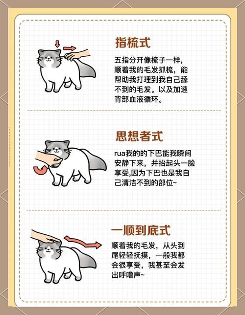 小野猫N上最新怎么玩简单？实用技巧轻松上手教程！
