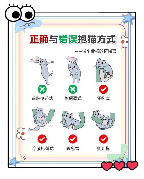 小野猫N上最新怎么玩简单？实用技巧轻松上手教程！